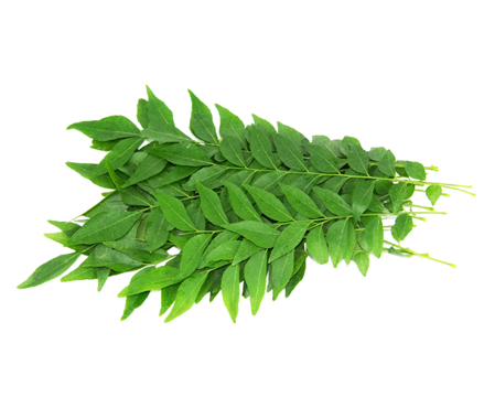 Curry Leaves